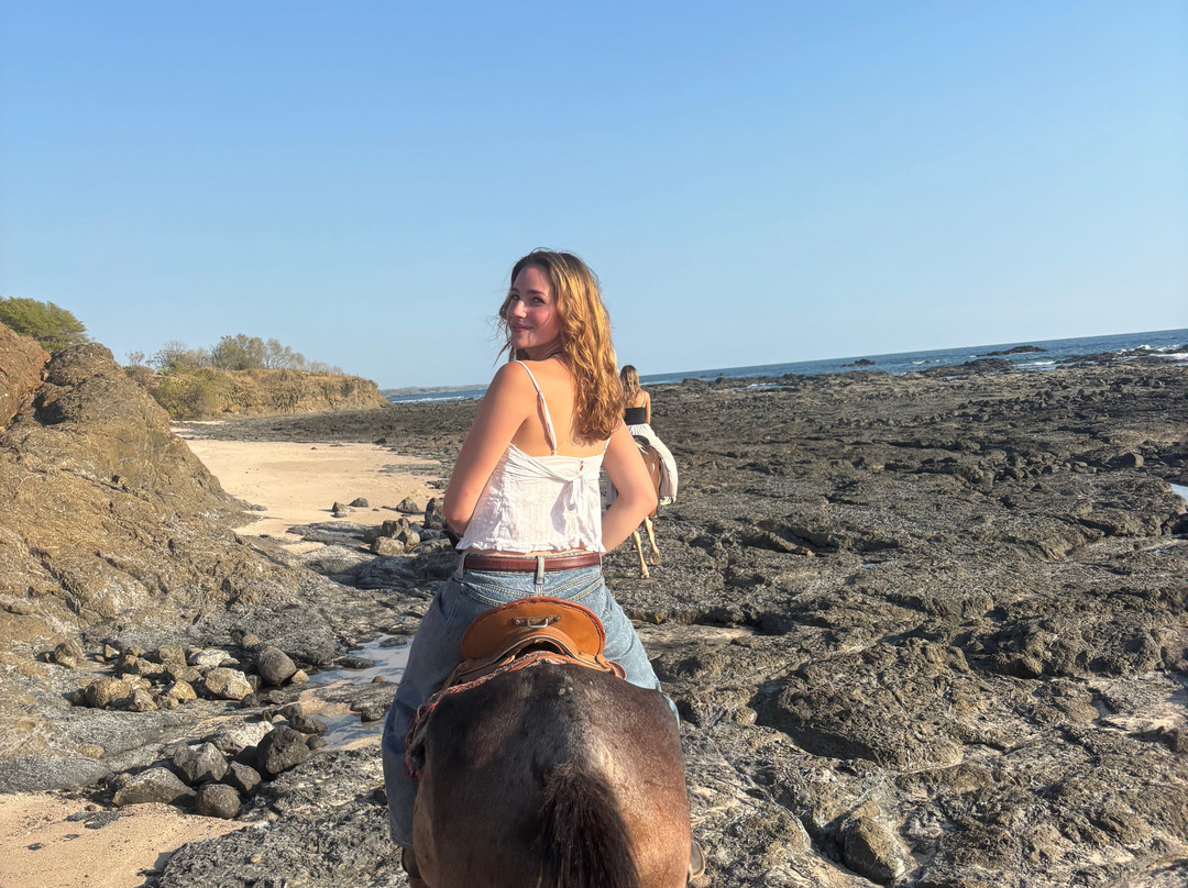 Guti Tours-Playa Avellanas必去景点