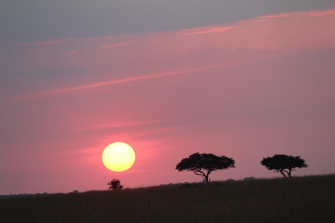 Tanzanias Northern Circuit Safari