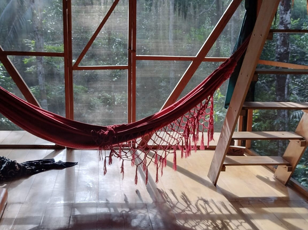 Psychonauta Foundation-伊基托斯必去景点