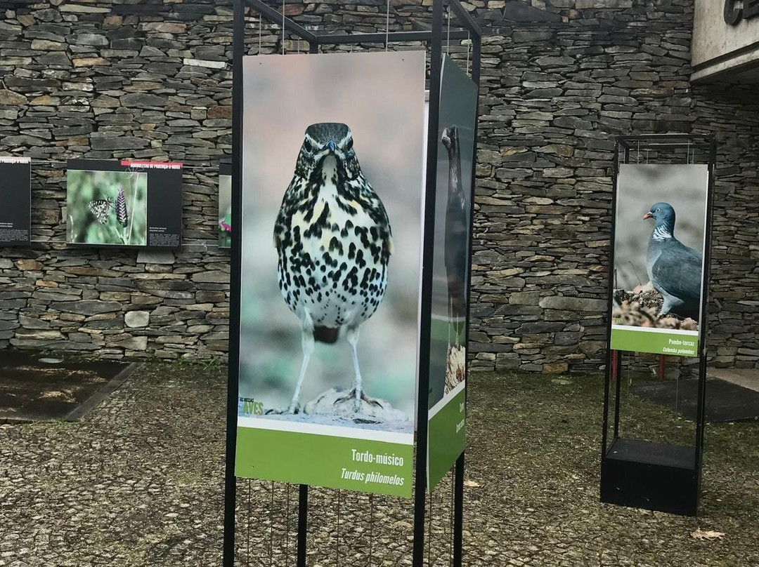 Centro Ciencia Viva Da Floresta-Proenca-a-Nova必去景点