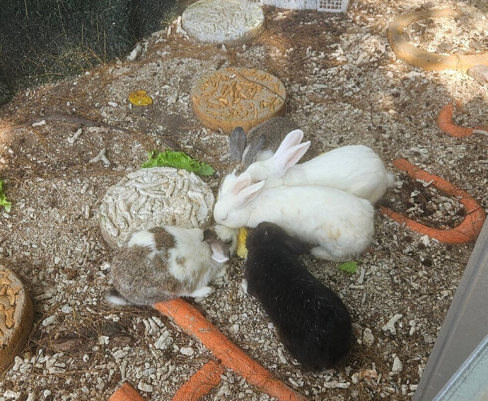 娜湾度假旅游喀拉喀托酒店主图