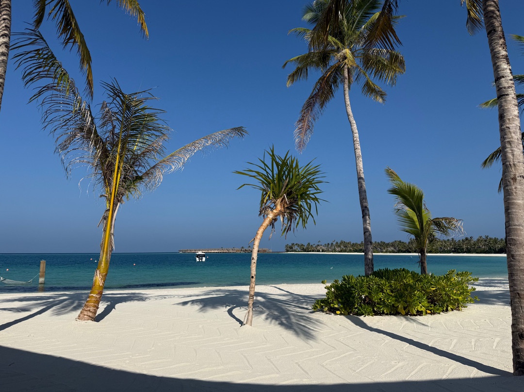 Ananea Madivaru Maldives