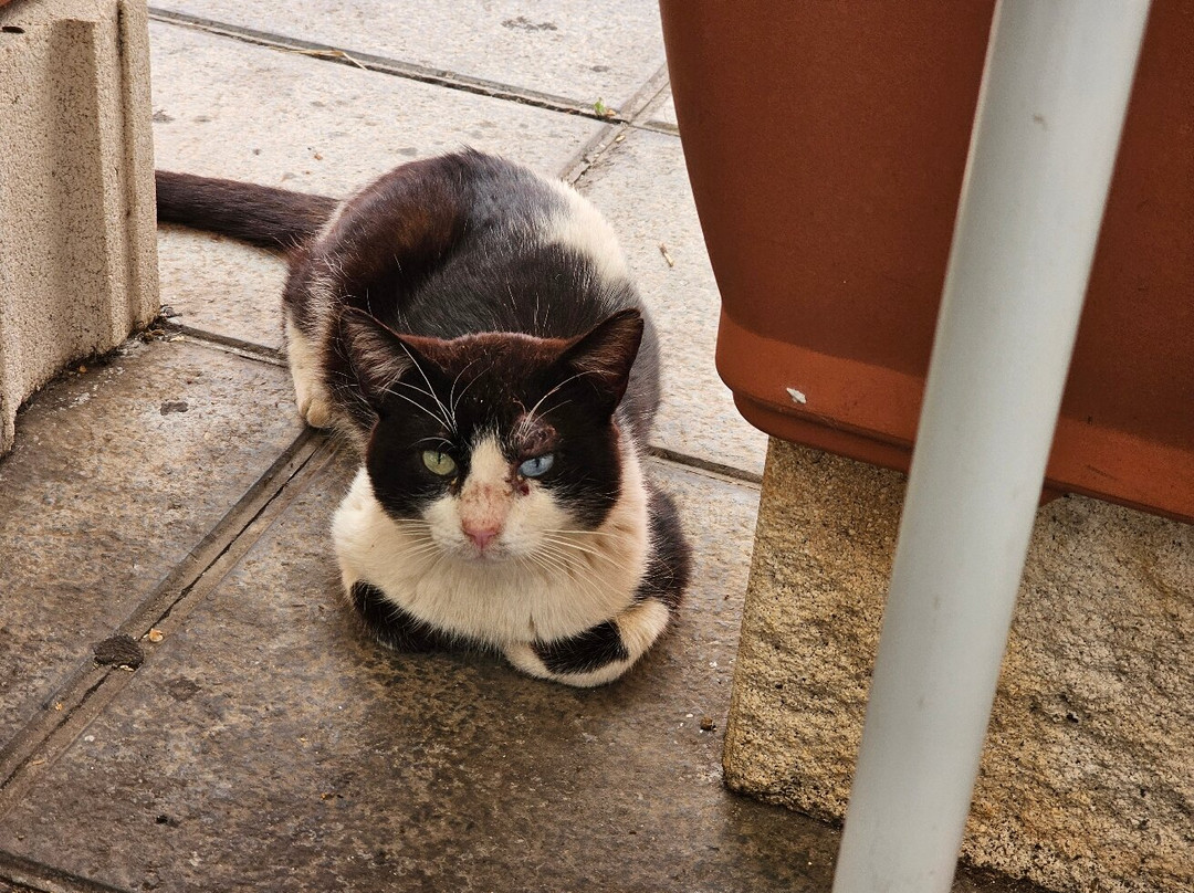 Casas Rurales Poblado Jirdana主图