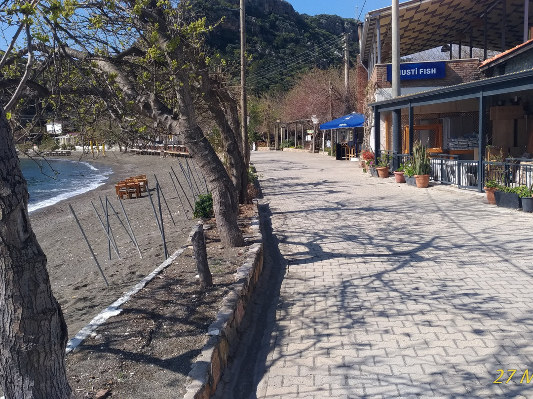 Hayıtbuku Koyu-Mesudiye必去景点