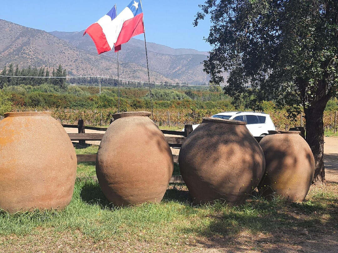 Viña Las Araucarias-Melipilla必去景点
