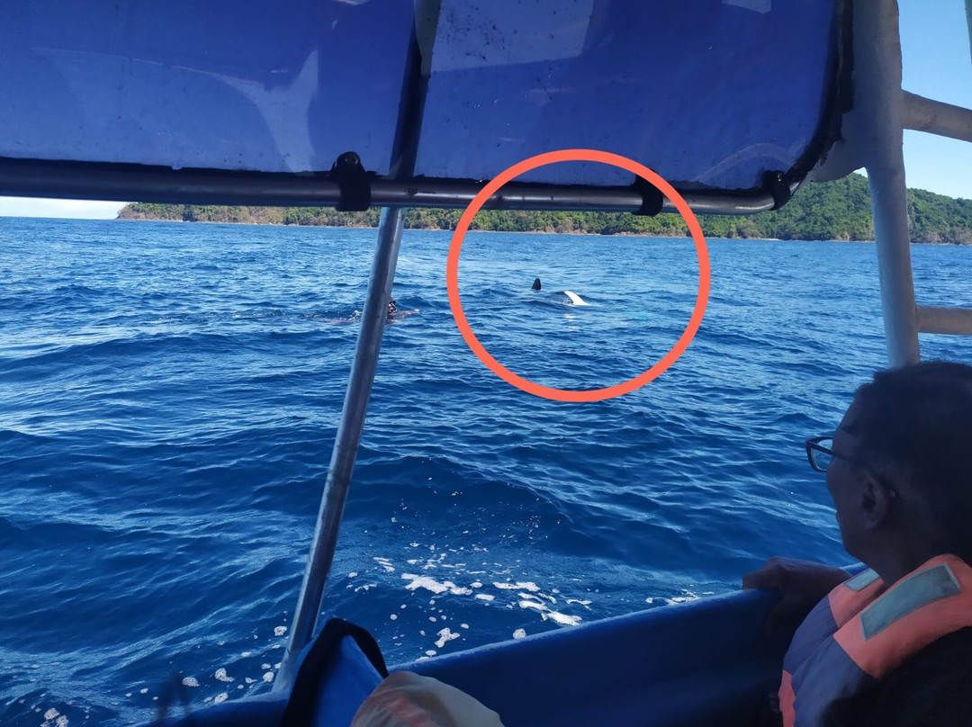 Premier Coiba Tours-Santa Catalina必去景点