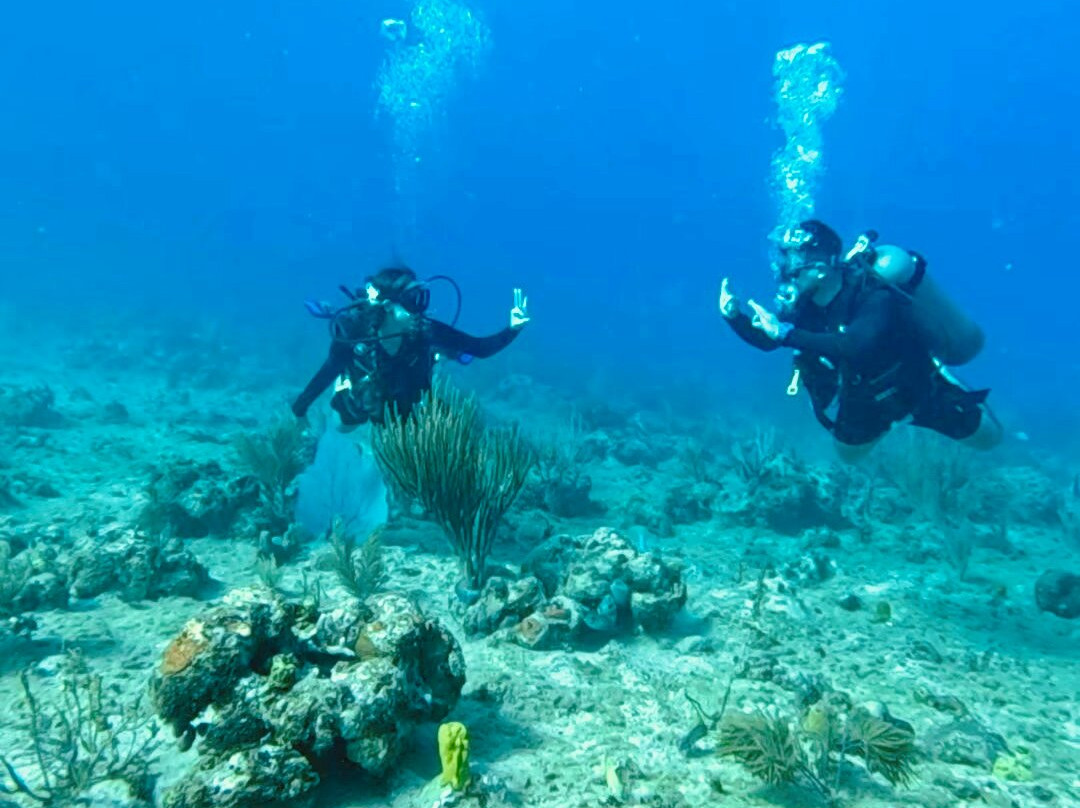 Diving Funs-圣安德烈斯岛必去景点