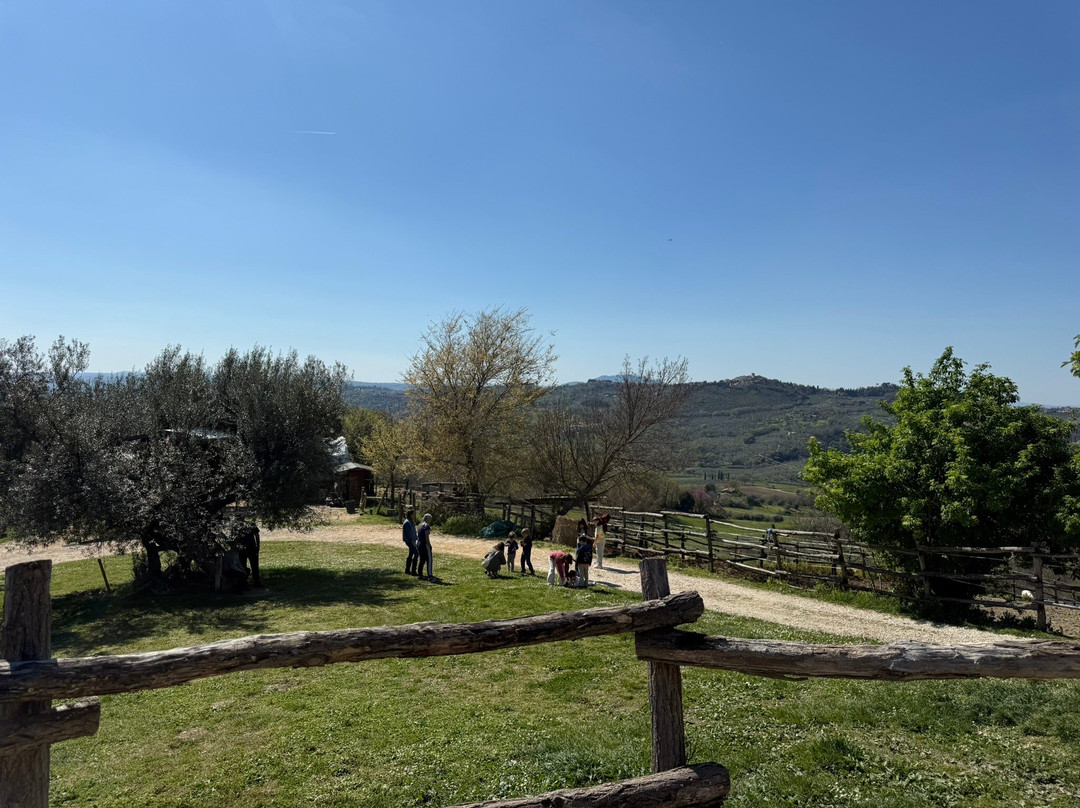 Sulla Collina di Castelnuovo di Farfa-Castelnuovo di Farfa必去景点
