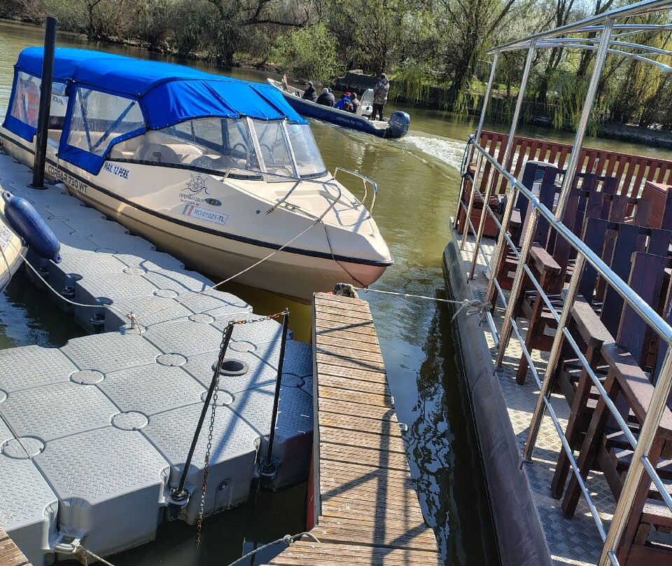 Danube Delta Wildlife Boat Tours-Murighiol必去景点