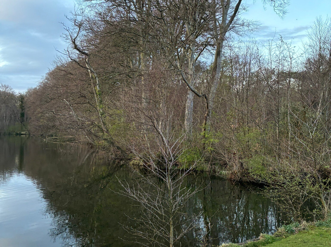 Brouwerskolkpark-Overveen必去景点