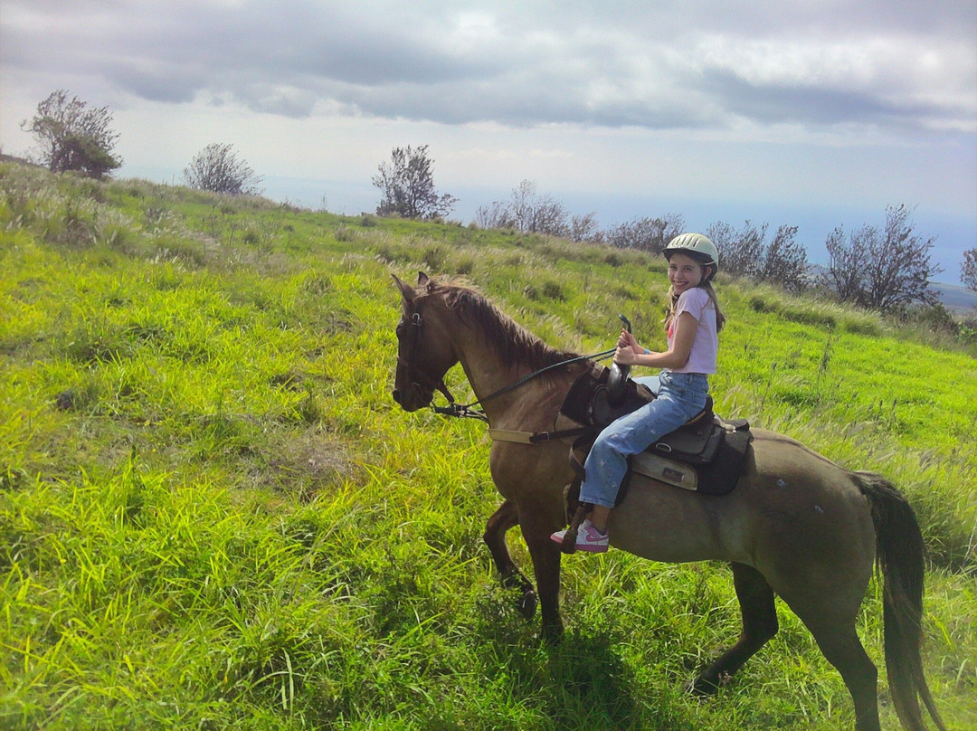 鲁达罗大农场-威可洛亚必去景点