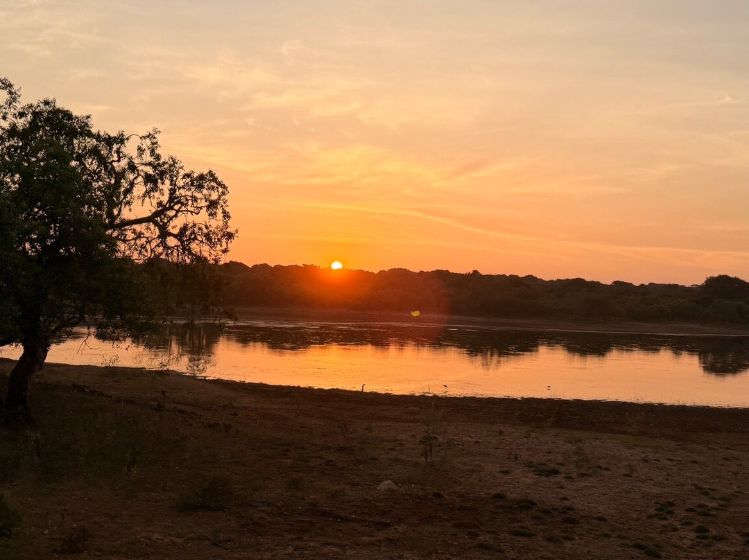 NPA Leopard Safari-蒂瑟默哈拉默必去景点