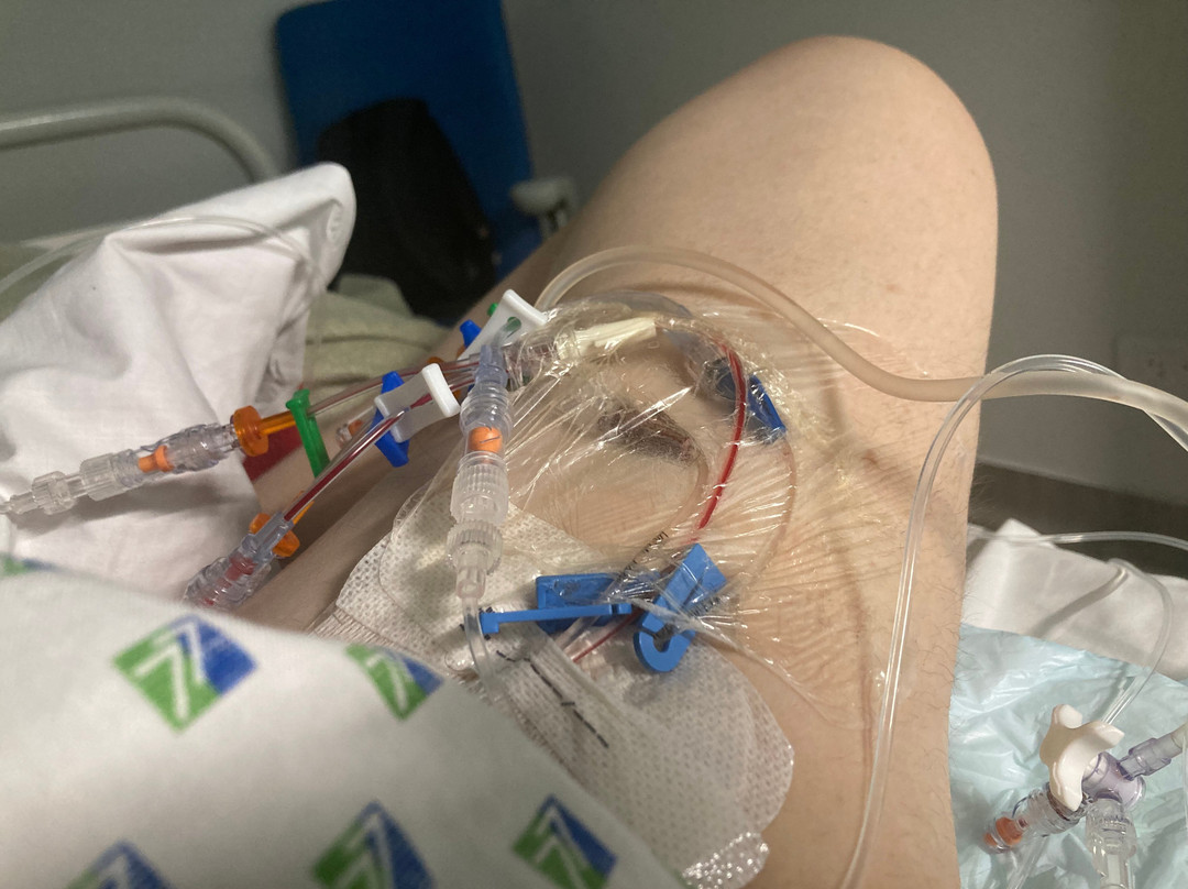 Forêt De Barbizon-巴比松必去景点