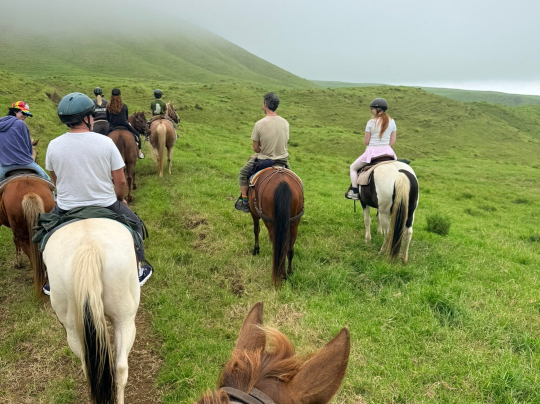 Na'alapa Stables - Kahua Ranch-卡慕也拉必去景点