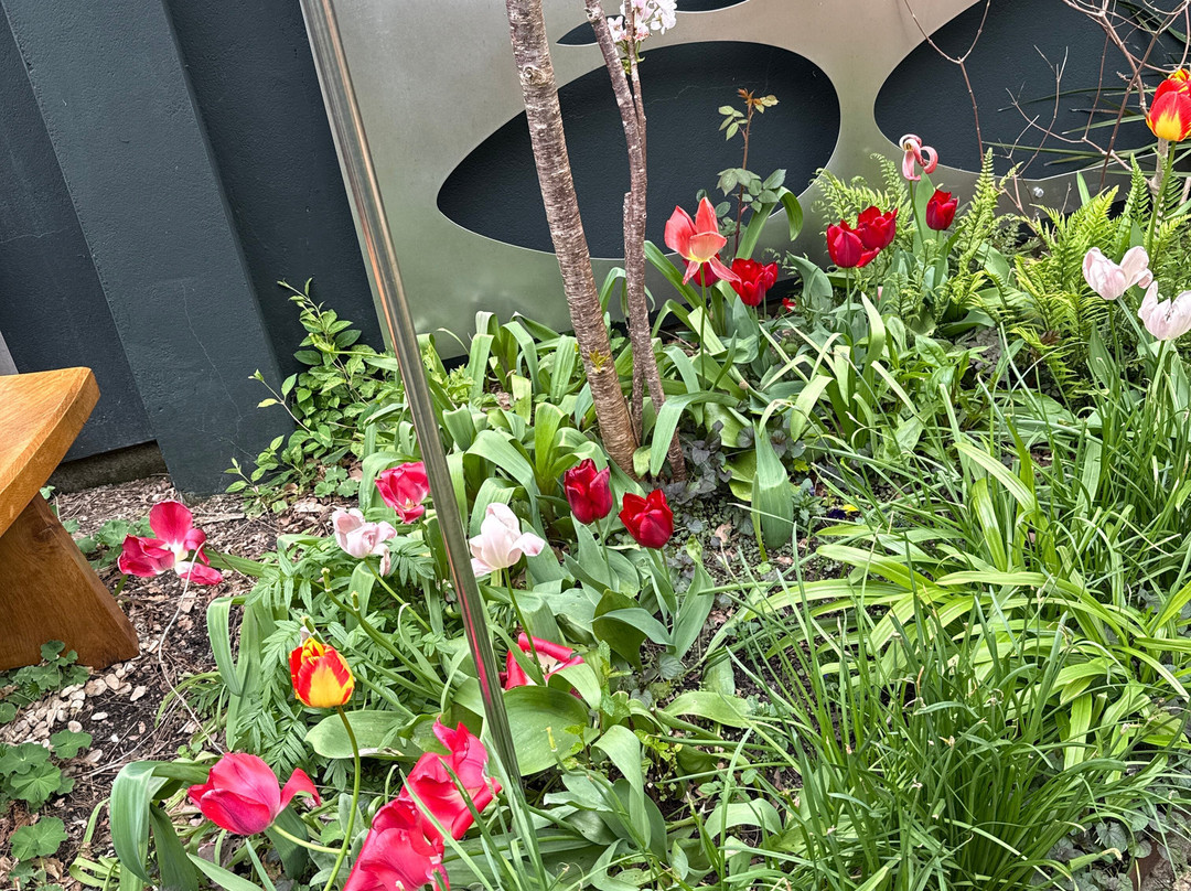 Heart of The Tribe Gallery-格拉斯顿伯里必去景点