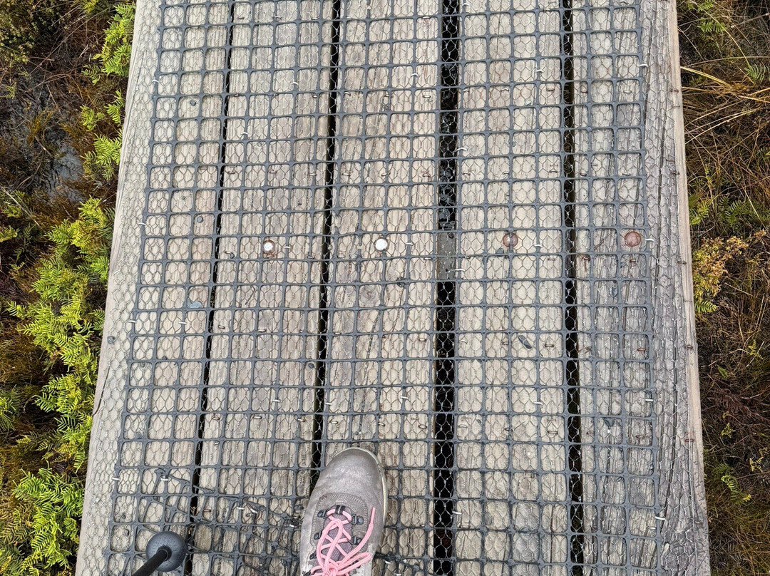 Taranaki Falls-汤加里罗国家公园必去景点