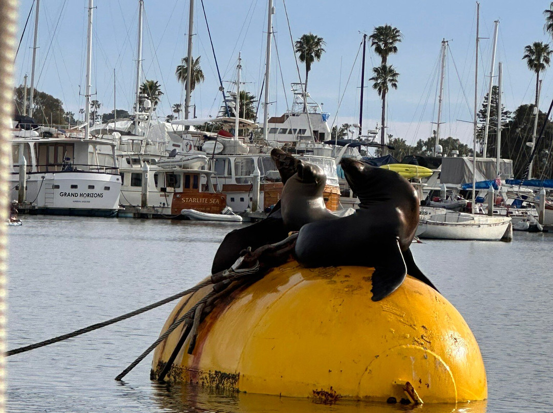San Diego Electric Boat Rentals-圣地亚哥必去景点