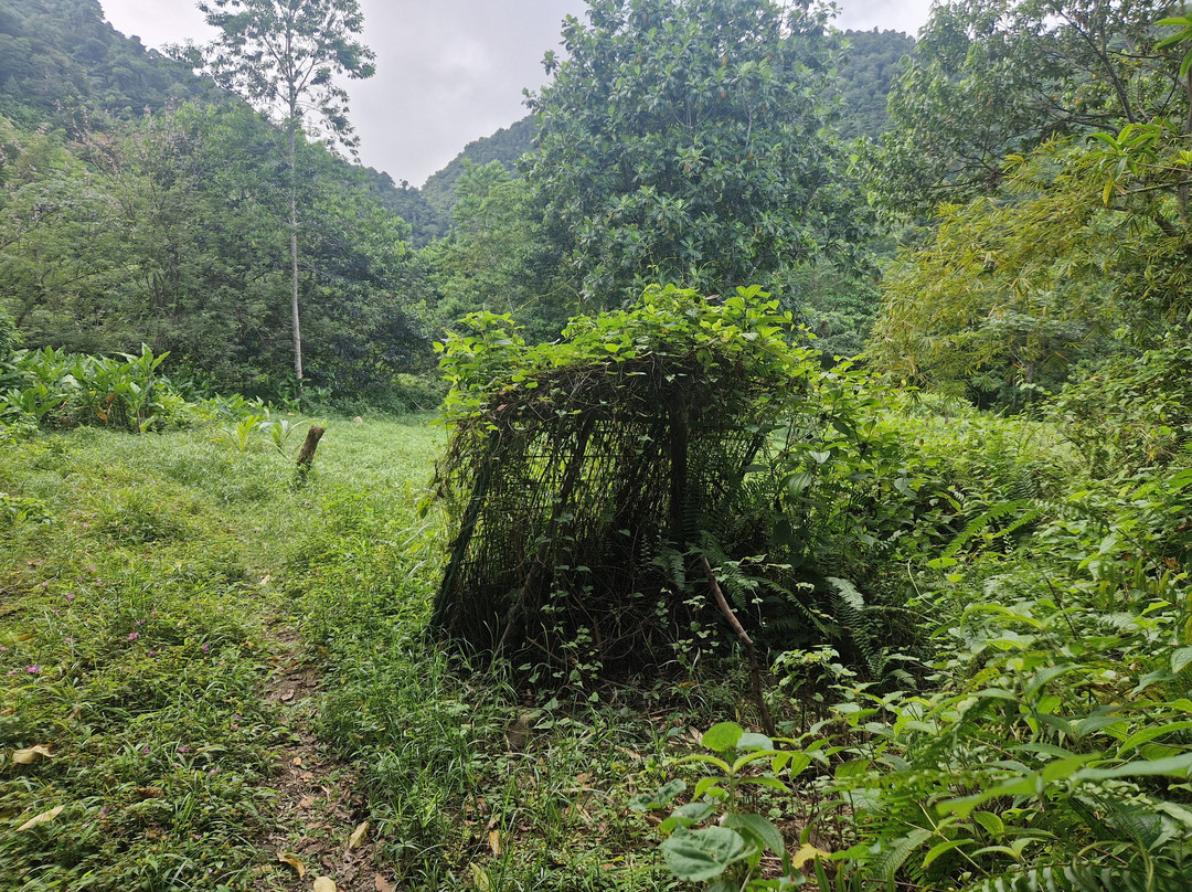 Sari-Sari Waterfall-多米尼克必去景点