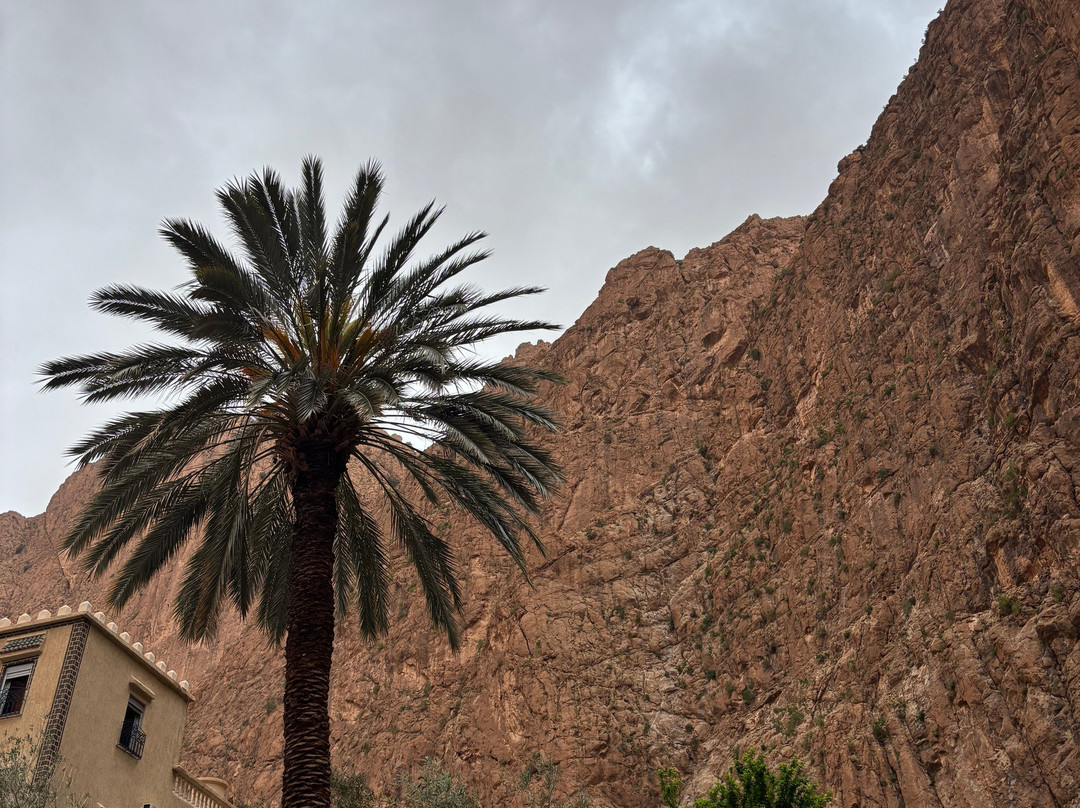 Magic Sahara Tours-卡萨布兰卡必去景点