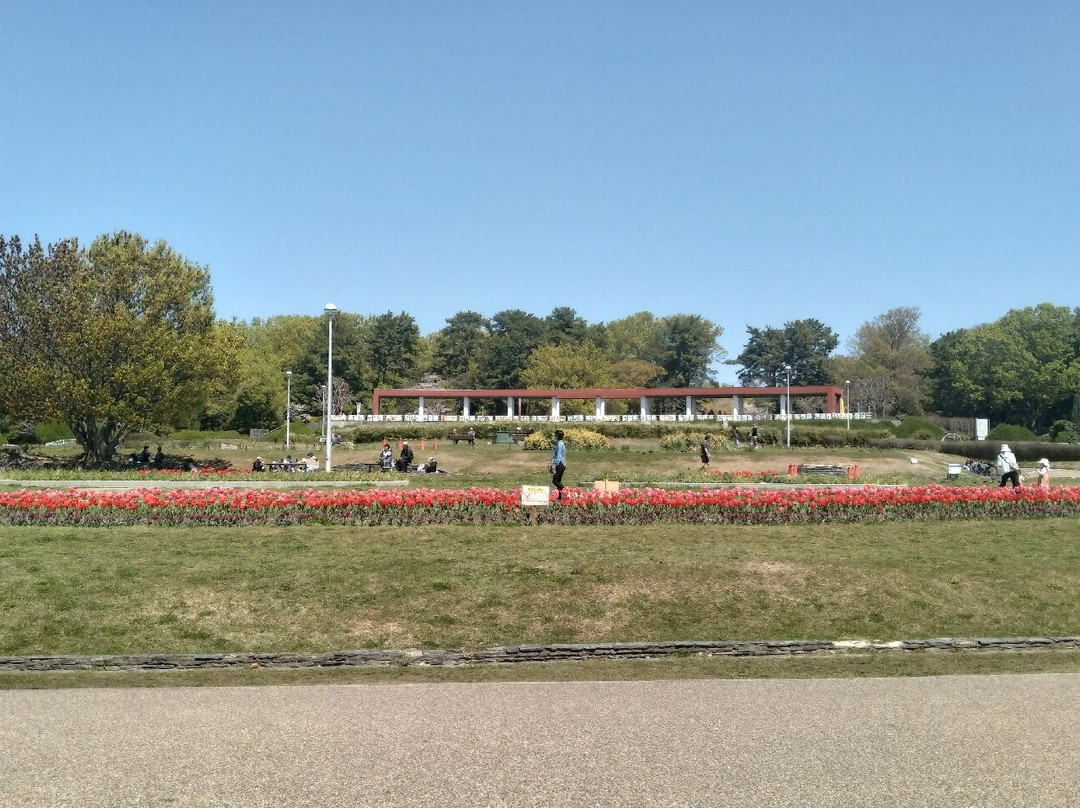 Hattori Ryokuchi Park-丰中市必去景点