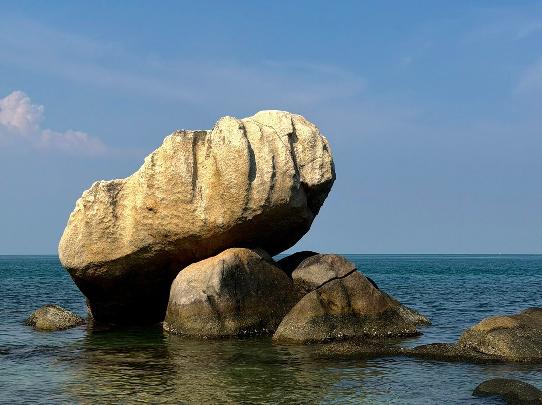 Cempedak Private Island主图