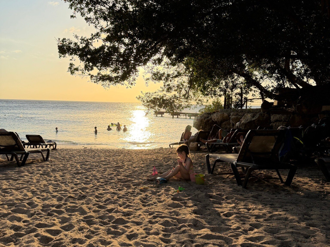 梦想库拉索度假酒店/水疗中心及娱乐场 - 全包式主图