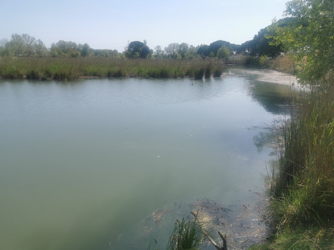 Oasi Naturale di Torre Abate-Mesola必去景点