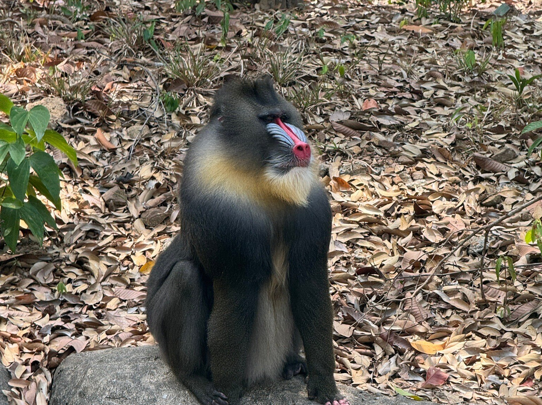 珍珠王国野生动物园-富国岛必去景点