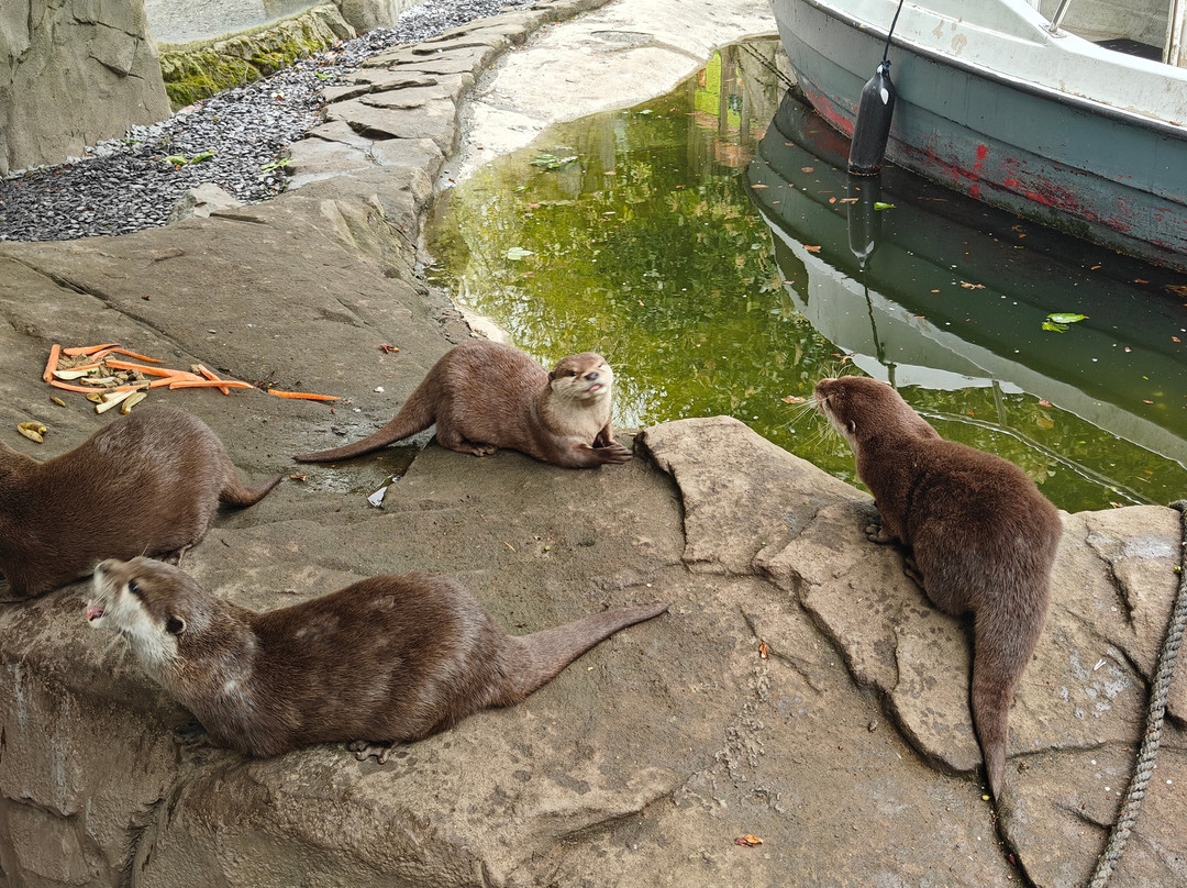 Exotic Zoo Wildlife Park + Natural History & Dino Museum-特尔福德必去景点