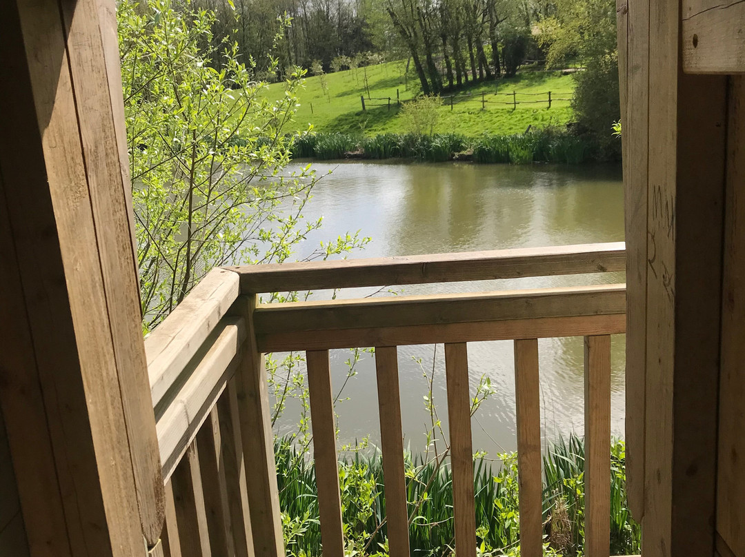 Discovery Land at Priory Farm-Nutfield必去景点