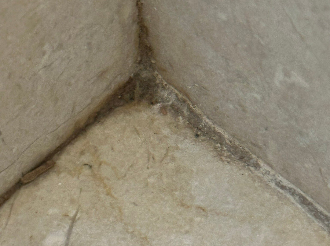 特内里费巴塞罗度假村主图