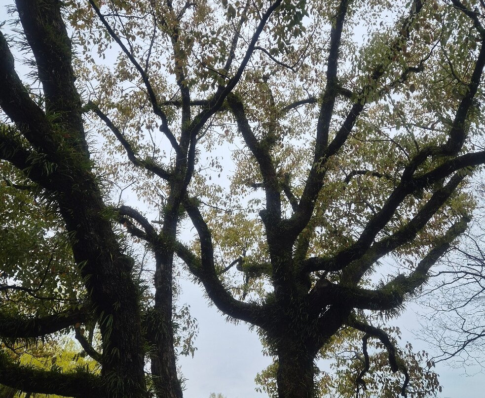 原爆之子塑像-广岛市必去景点