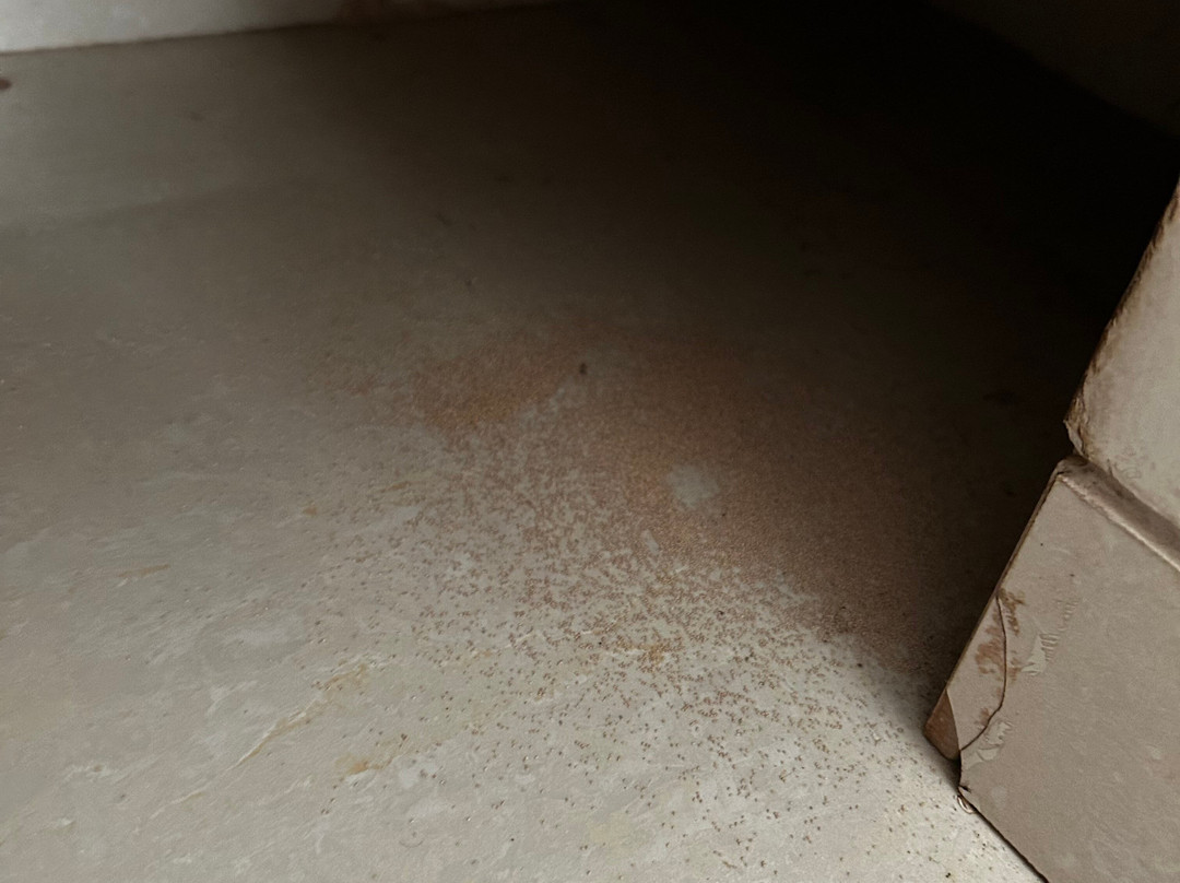 Hotel Sea Fans主图