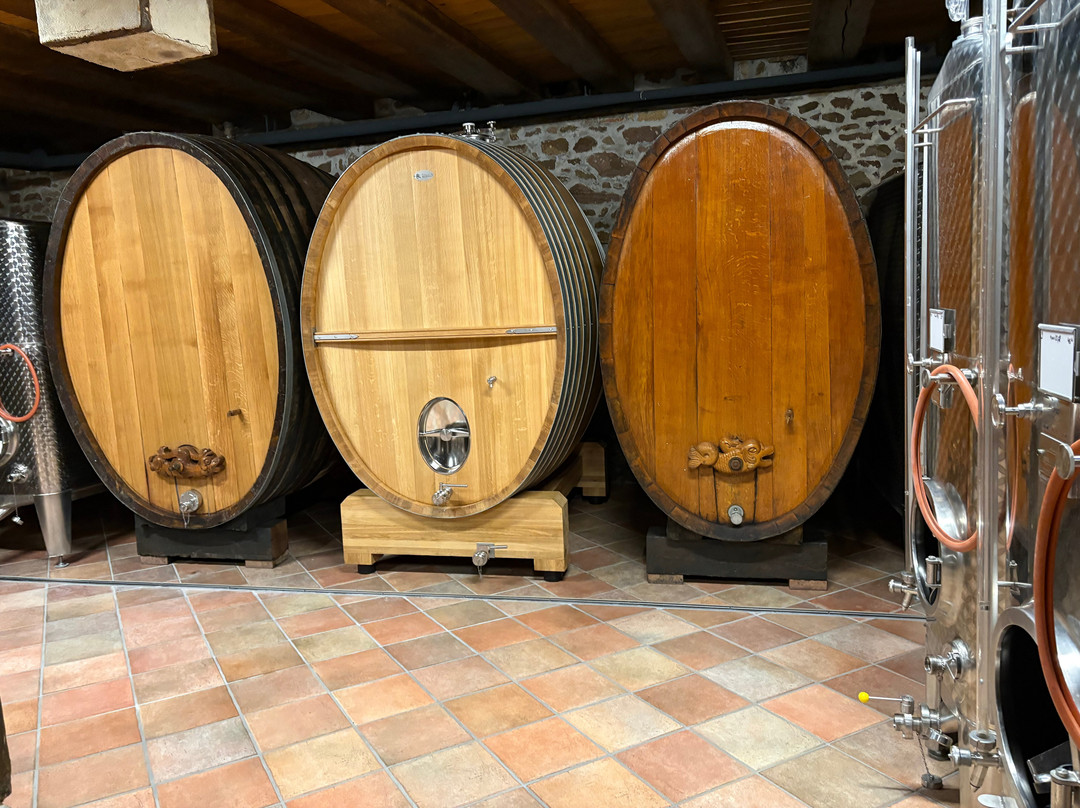 Domaine Gruss & Fils-艾古斯汉必去景点