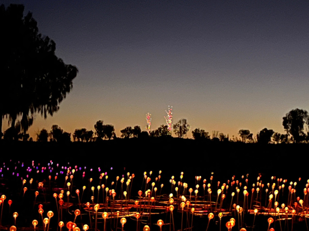 Field of Light-乌鲁鲁-卡塔丘塔国家公园必去景点