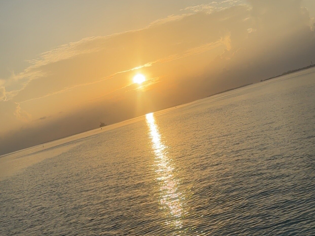 阳光岛别墅公园主图