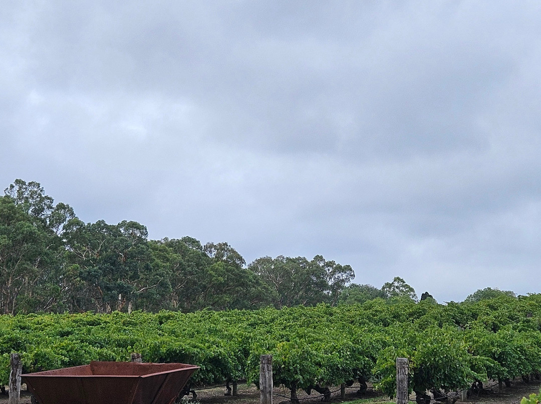 Small Batch Wine Tours-阿德莱德必去景点