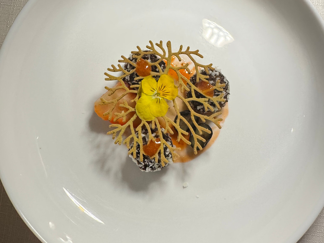 哥斯达黎加度假屋酒店 - 养生度假村及水疗中心主图