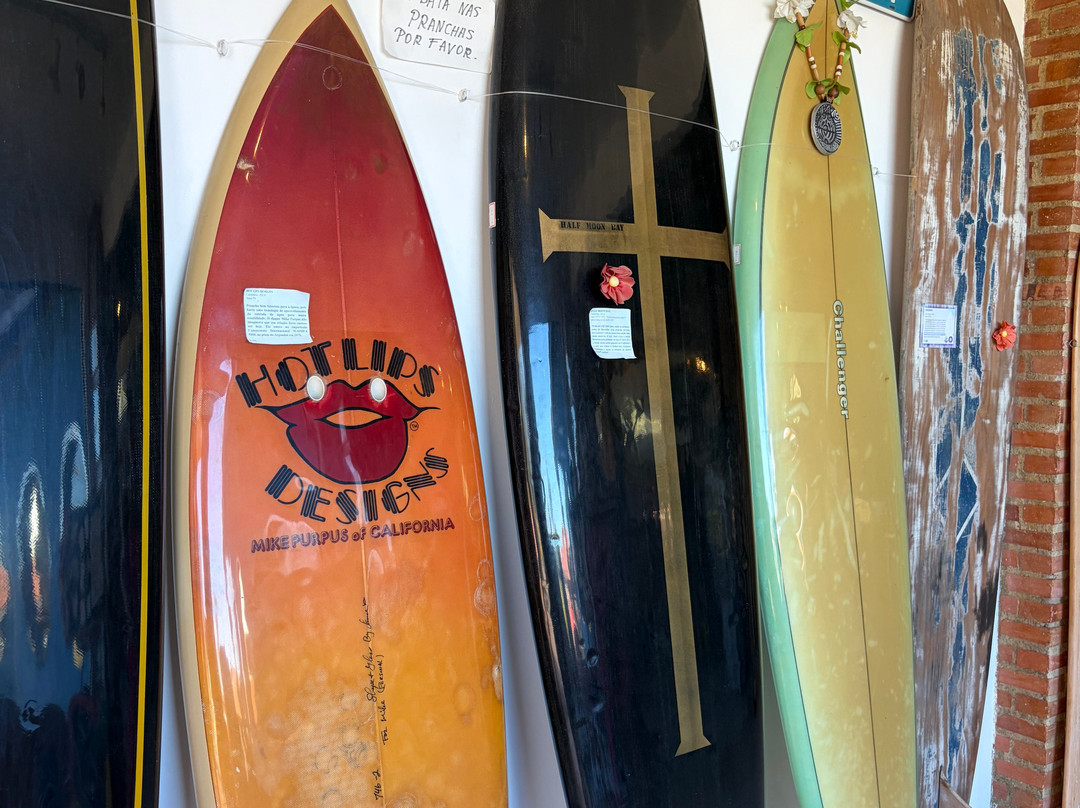 Surf Museum-卡布弗里乌必去景点
