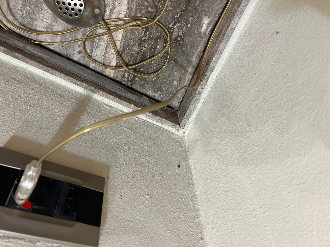 罗玛诺豪斯酒店主图
