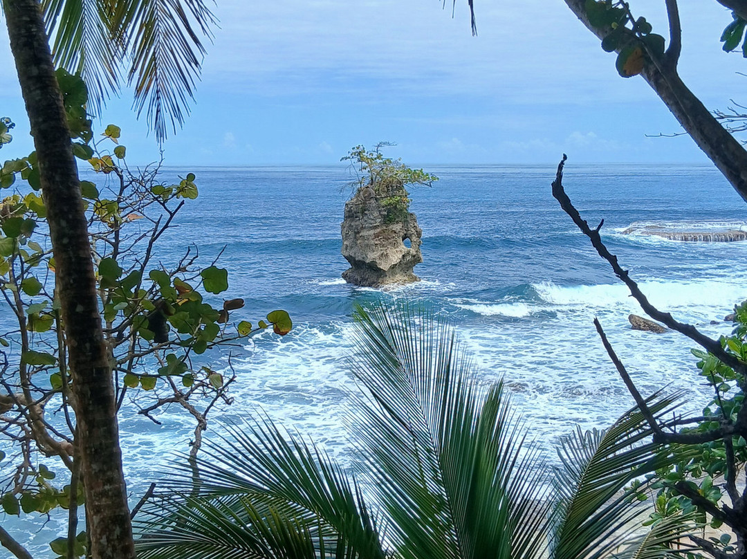 Gandoca - Manzanillo Wildlife Refuge-Province of Limon必去景点