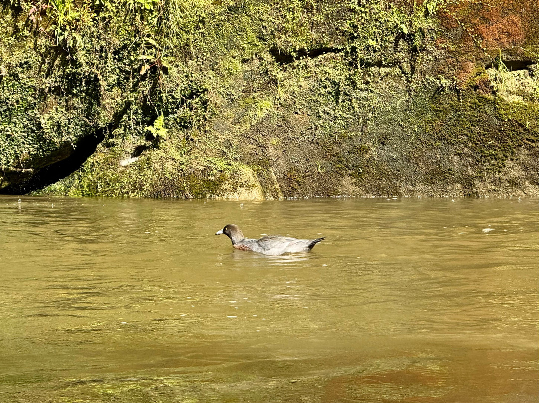 Canoe Safaris-奥阿库尼必去景点