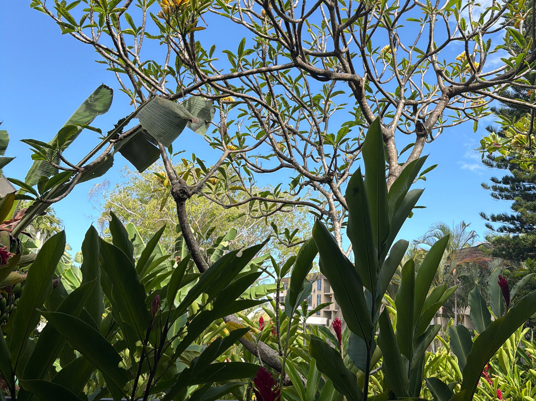 Irazú Hotel & Studios主图