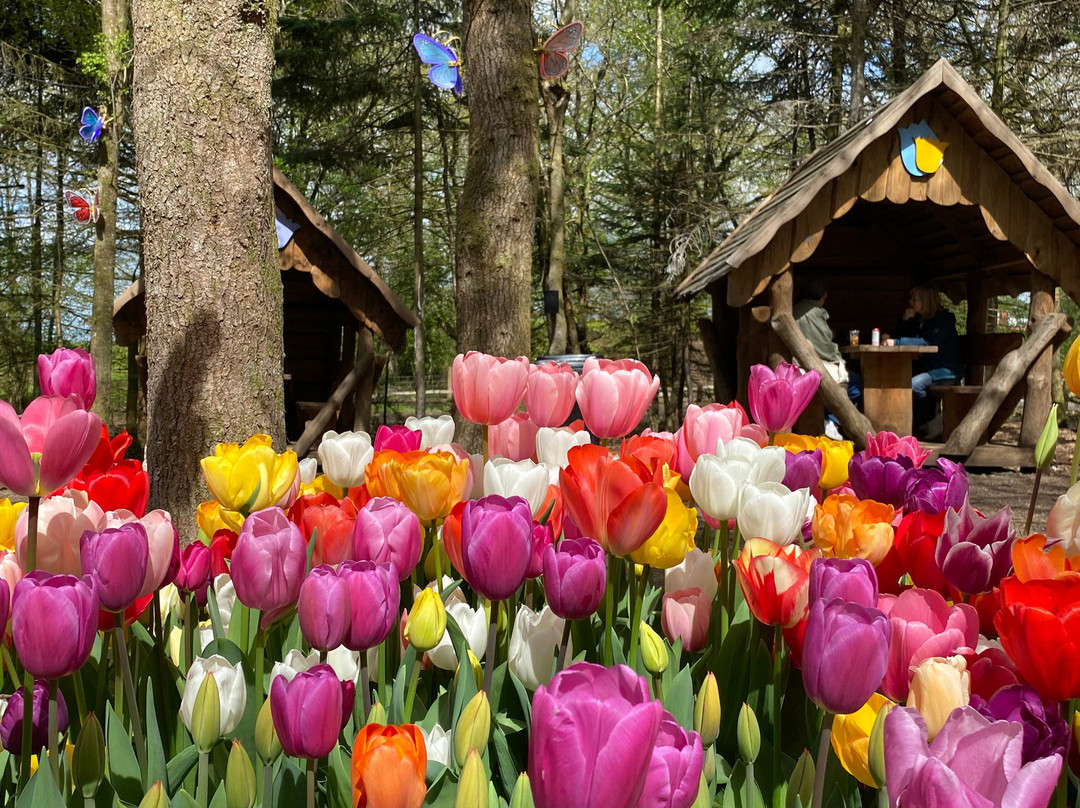 Tulleys-Turners Hill必去景点