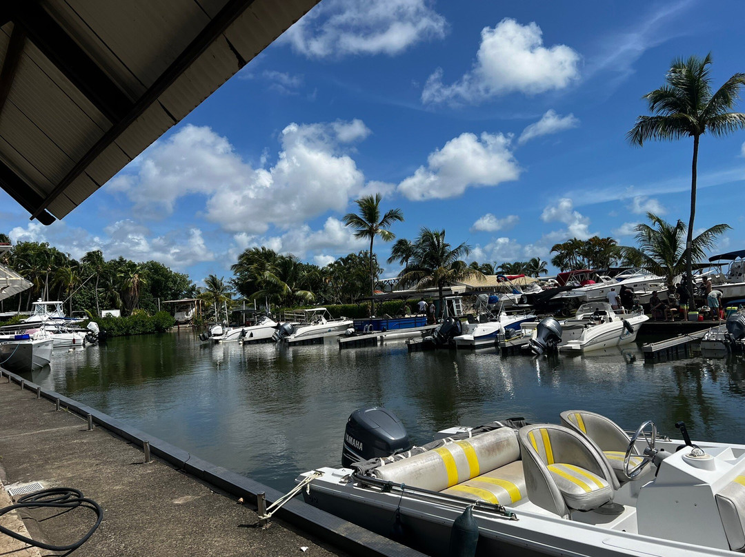Capitaine Titi Balades en Mer-La Trinite必去景点