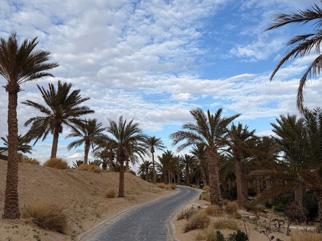 撒哈拉托泽尔·The Mora主图