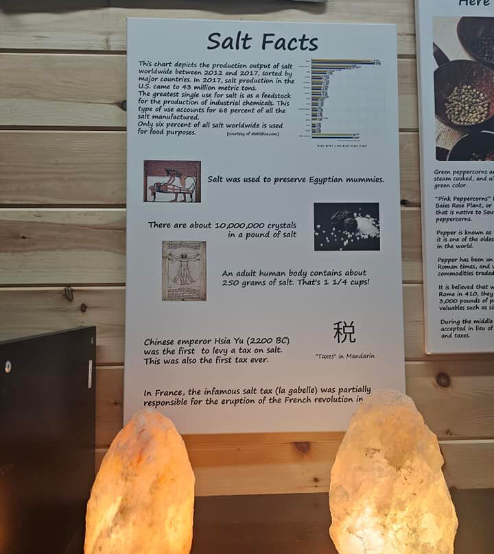 Salt And Pepper Shaker Museum-盖林柏格必去景点