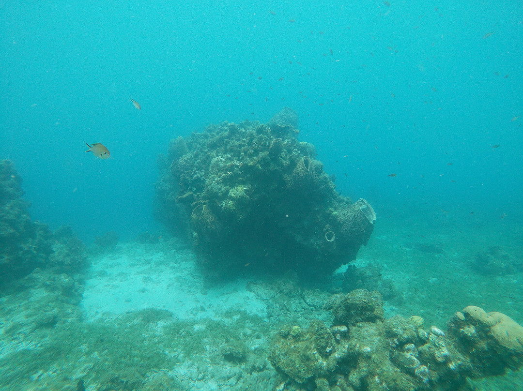 Nature Island Dive-Soufriere必去景点