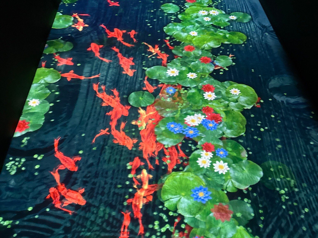 Sensorica Immersive Museum-基希讷乌必去景点
