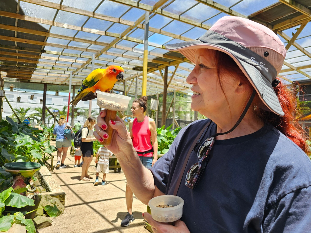Parotte Ville Bird Sanctuary-圣马丁岛必去景点